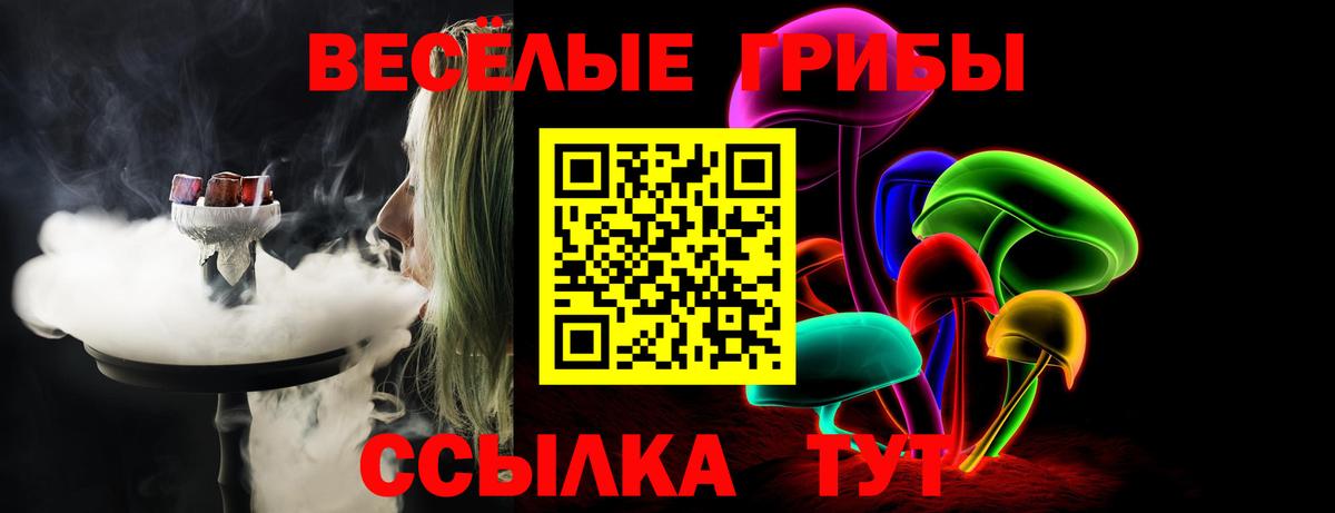 продажа наркотиков  Псилоцибиновые грибы прущие грибы  Вход с VPN  Десногорск 